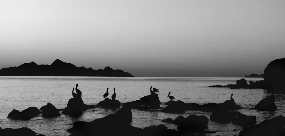 Photograph by Joaquin Silva