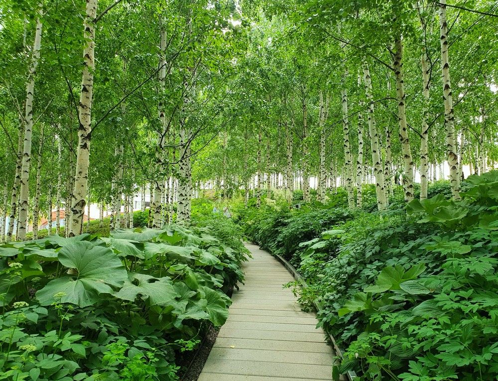 Photograph by Яна Галимуллина