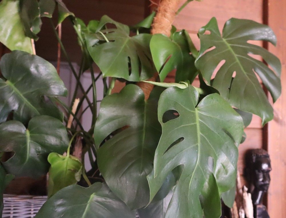 Photograph by Katiaponzini