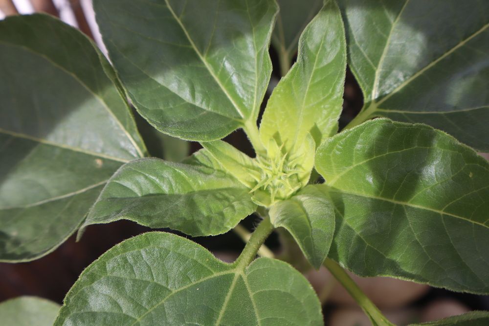 Photograph by Katiaponzini