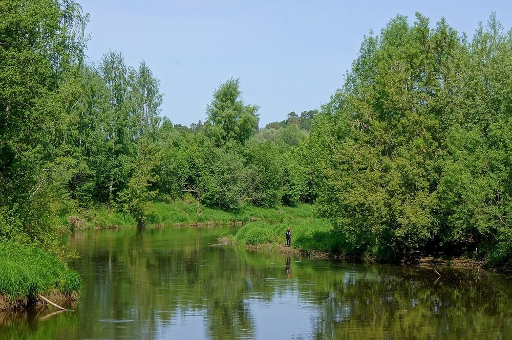 Photograph by Леонид Шнейдерман