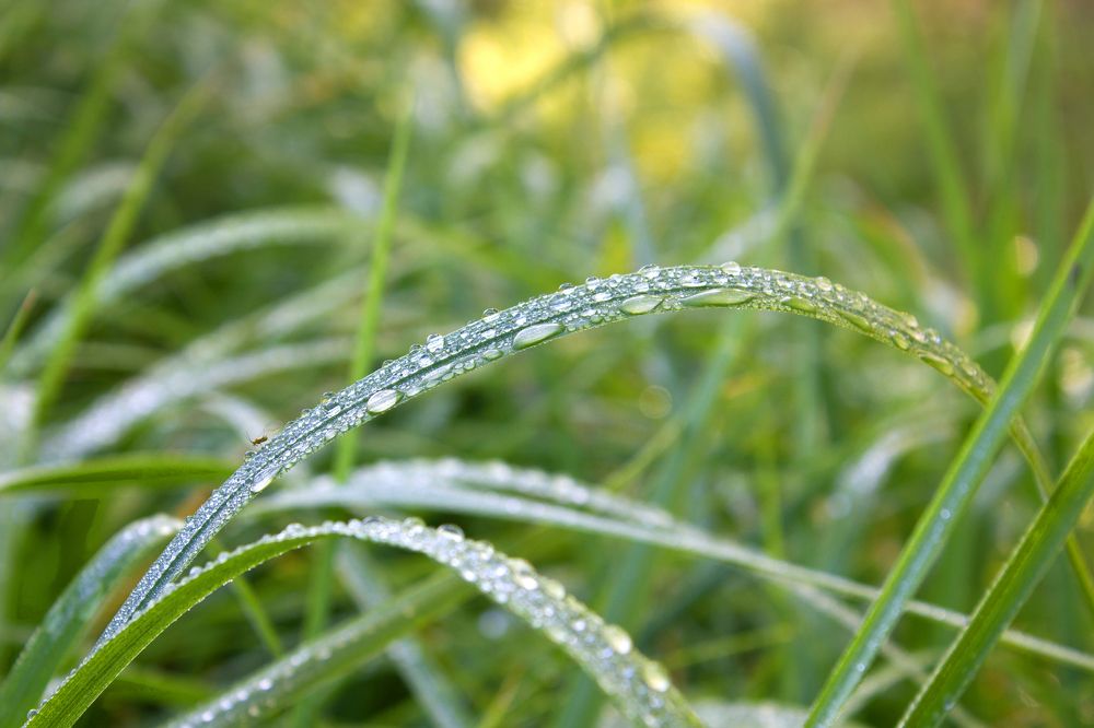 Фотография автора Кухта Мария