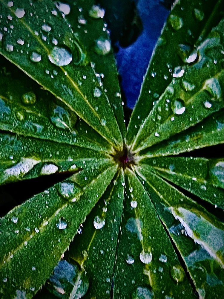 Фотография автора NATALYA OZHEGOVA