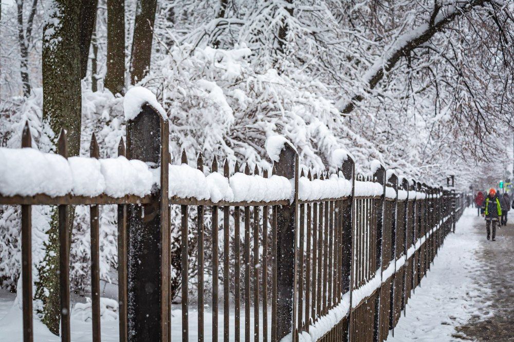 Photograph by Очева Наталья Александровна