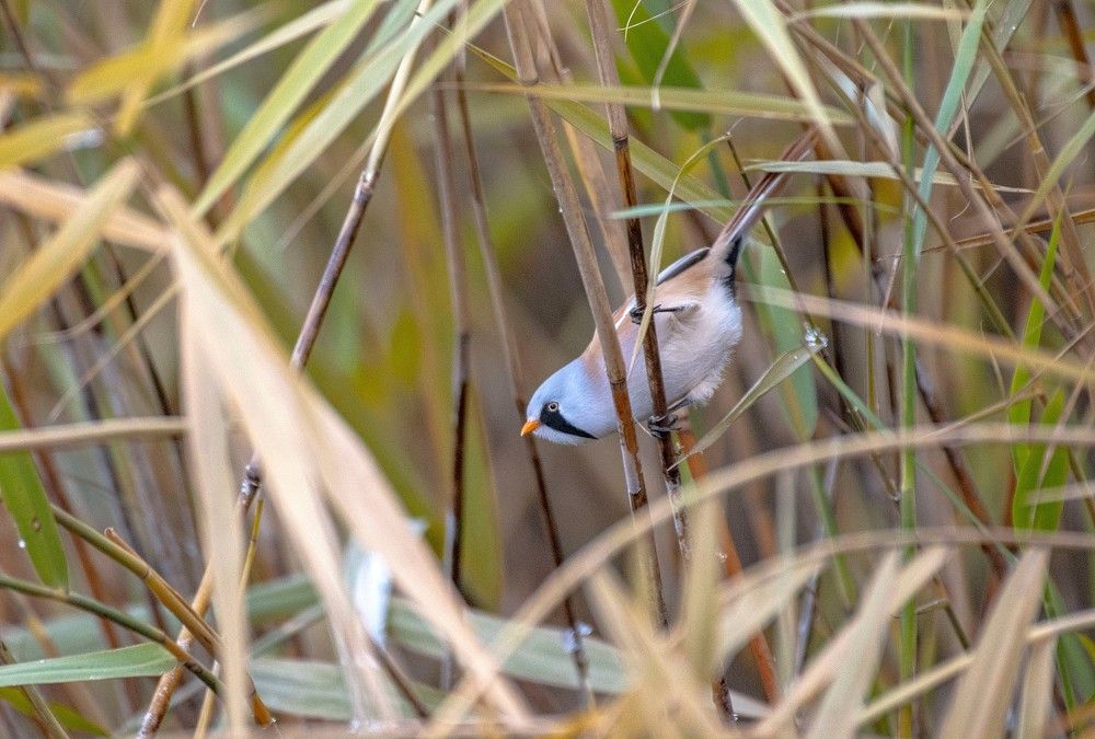 Photograph by Сиваков Алексей