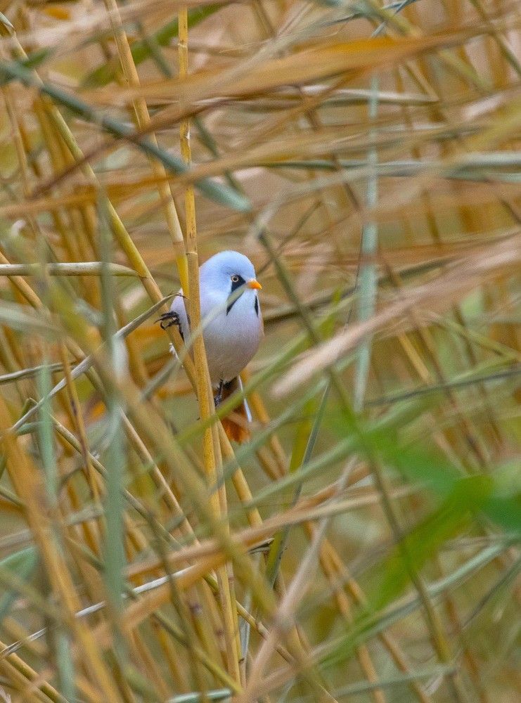 Photograph by Сиваков Алексей
