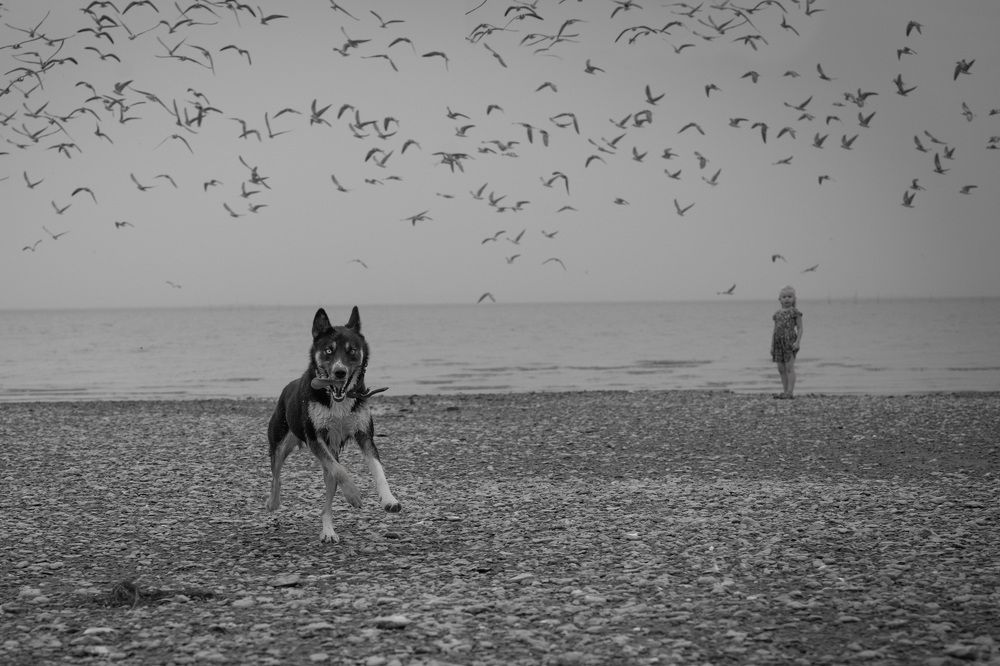 Фотография автора Светлана Зимина