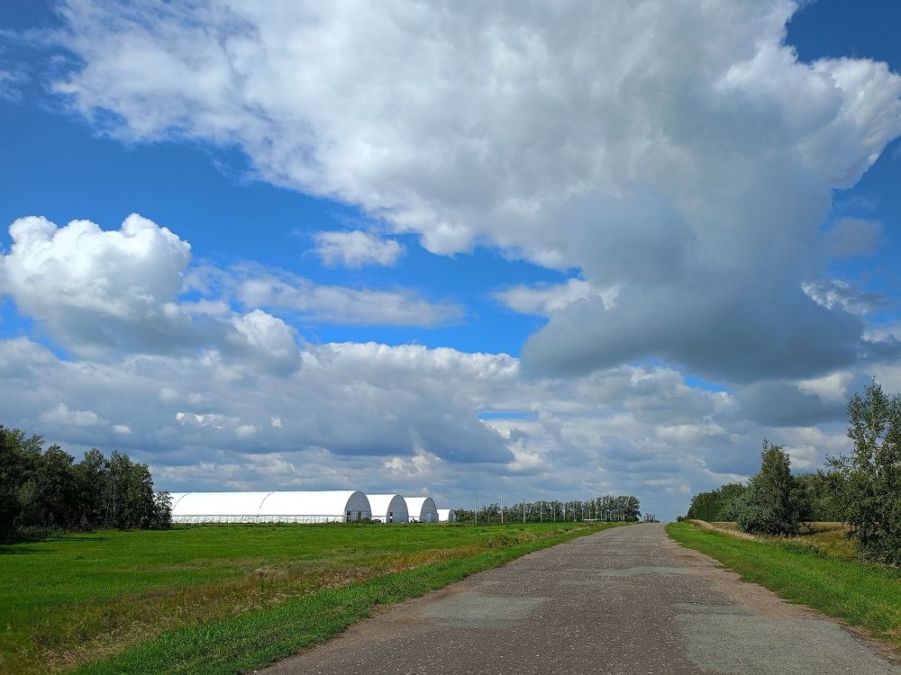 Photograph by Елена Чернякова