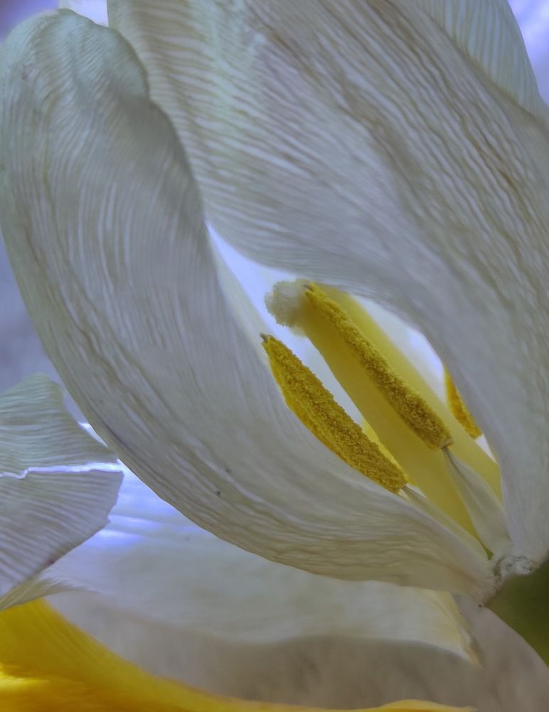 Photograph by Татьяна Гулакова