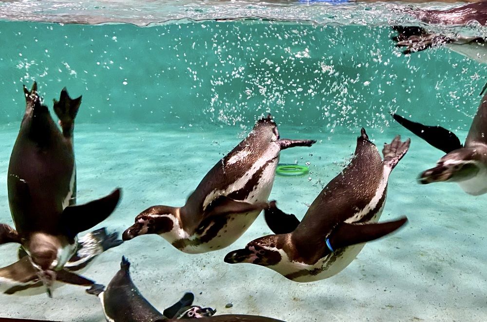 Photograph by Татьяна Шитлина