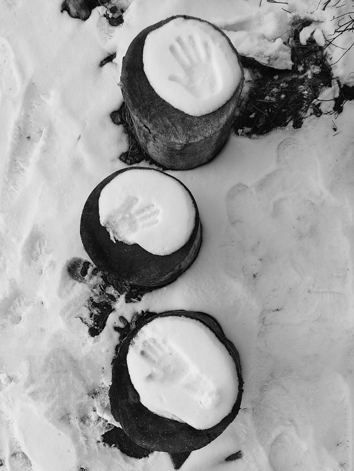 Photo #11400844