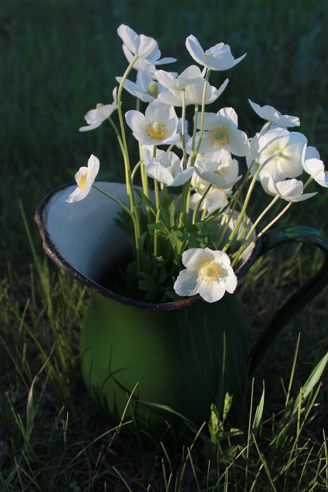 Photograph by Любовь Лунина