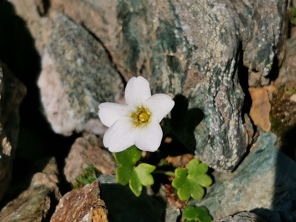 Photograph by Елена Есипова