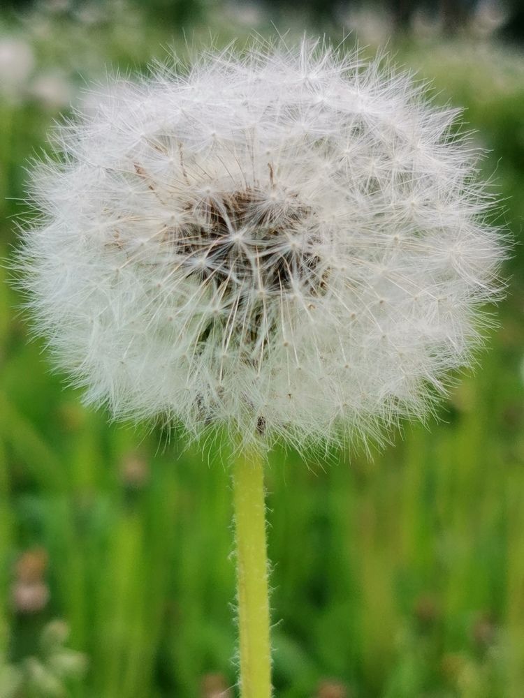 Photograph by Елена Есипова