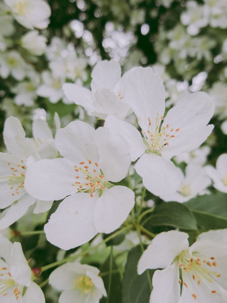 Photograph by Дарья Овсянникова