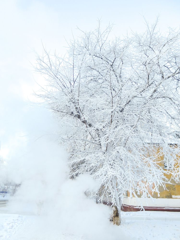 Photograph by Дарья Овсянникова