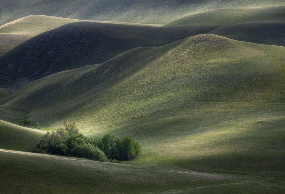 Photograph by Татьяна Бирюкова