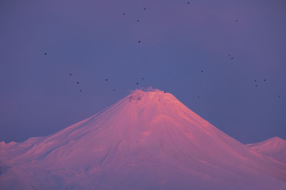 Фотография автора Егор Кондратьев