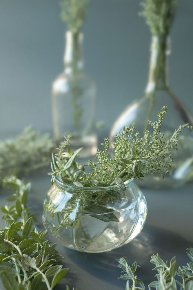 Фотография автора Альбина Кадочникова