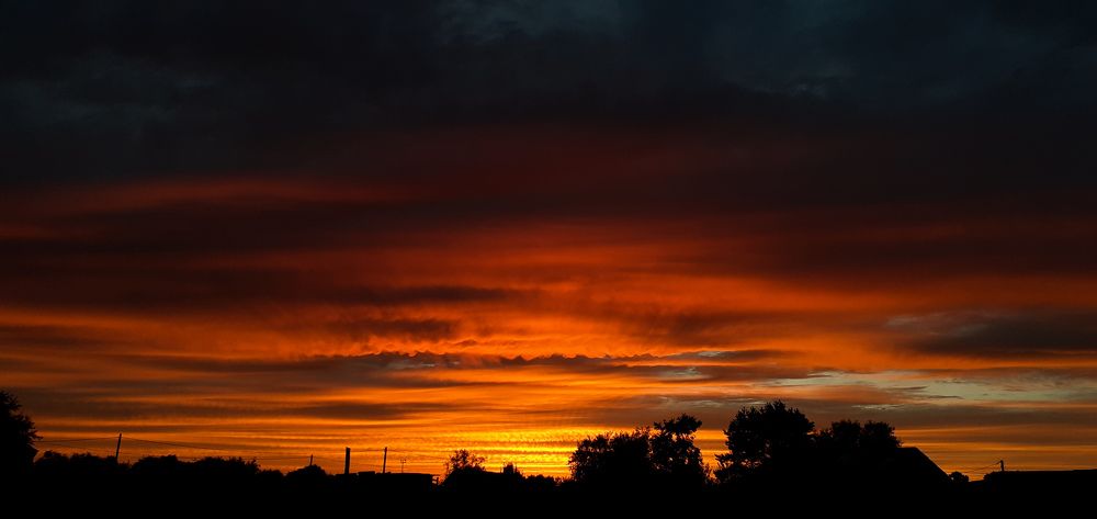 Photograph by Кристина Присяжная