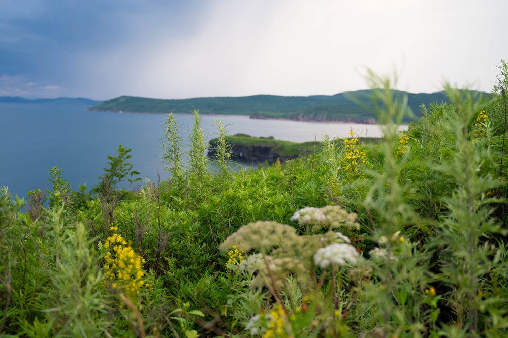 Приморский край. Мыс Тыбызина Владивосток