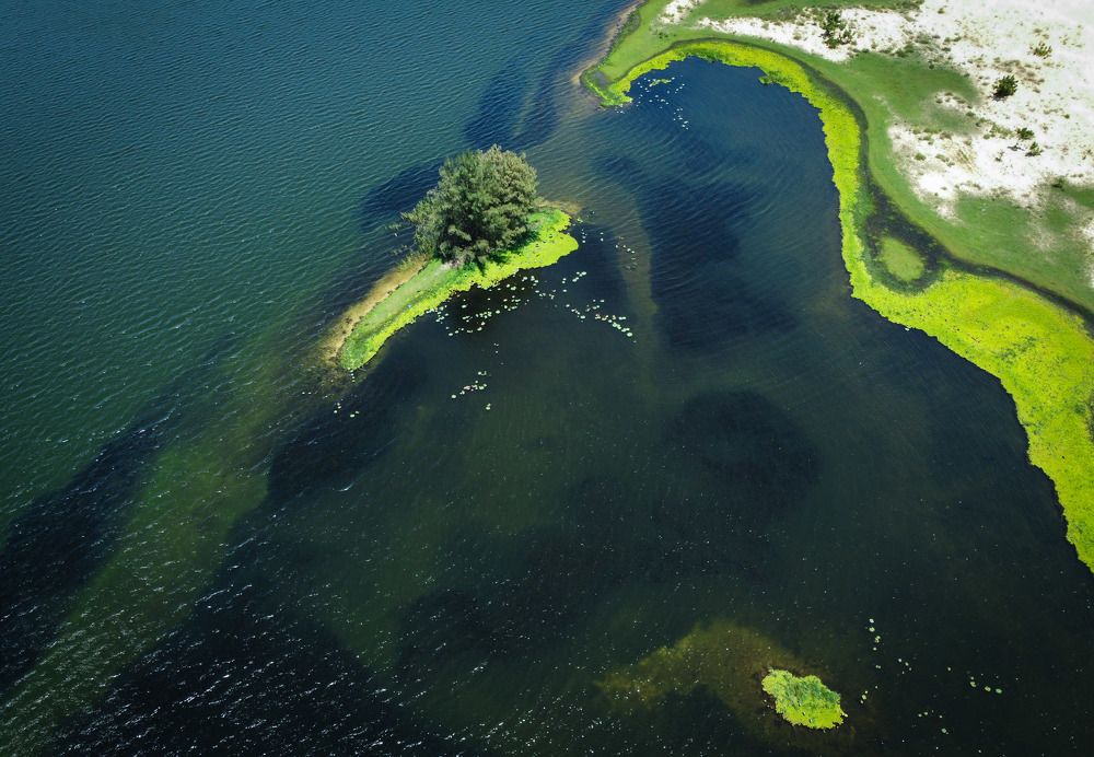 Фотография автора Minh Le