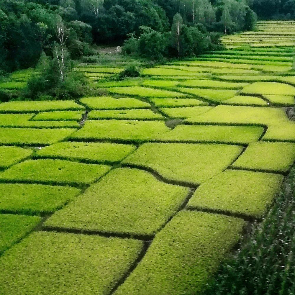 Фотография автора Александр Машников