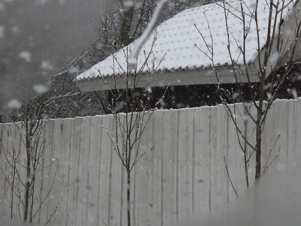 Photograph by Андрей Осмоловский