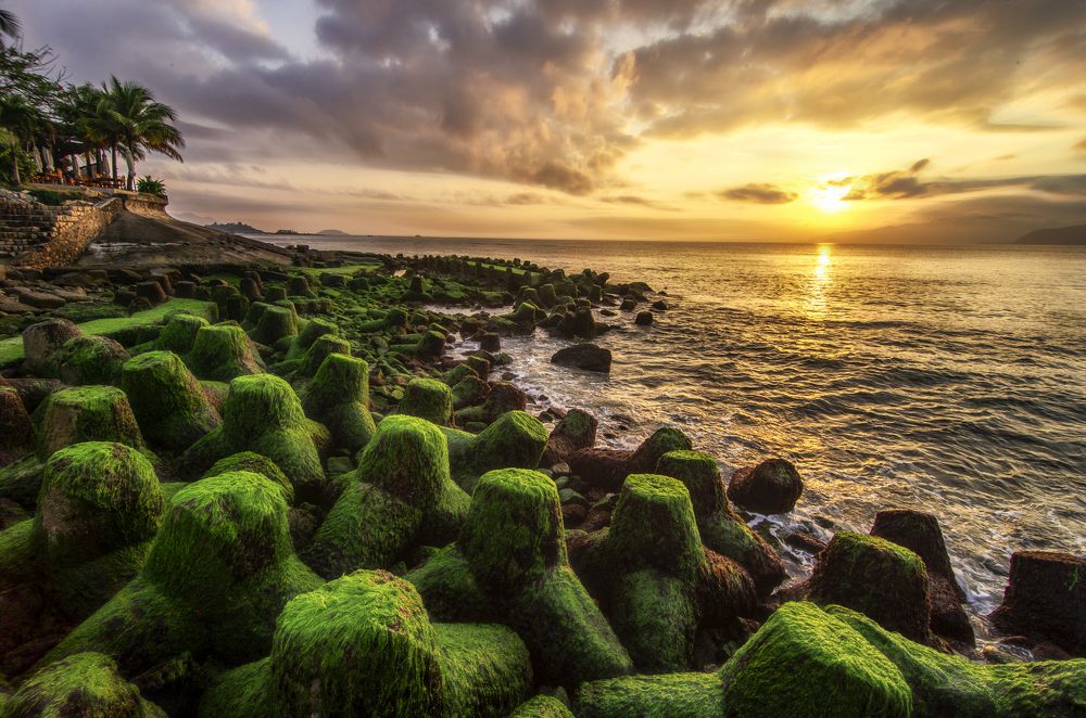 Photograph by Tran Khoa