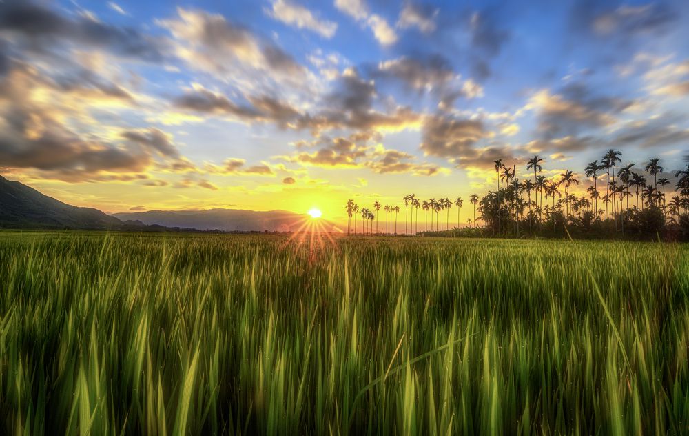 Photograph by Tran Khoa