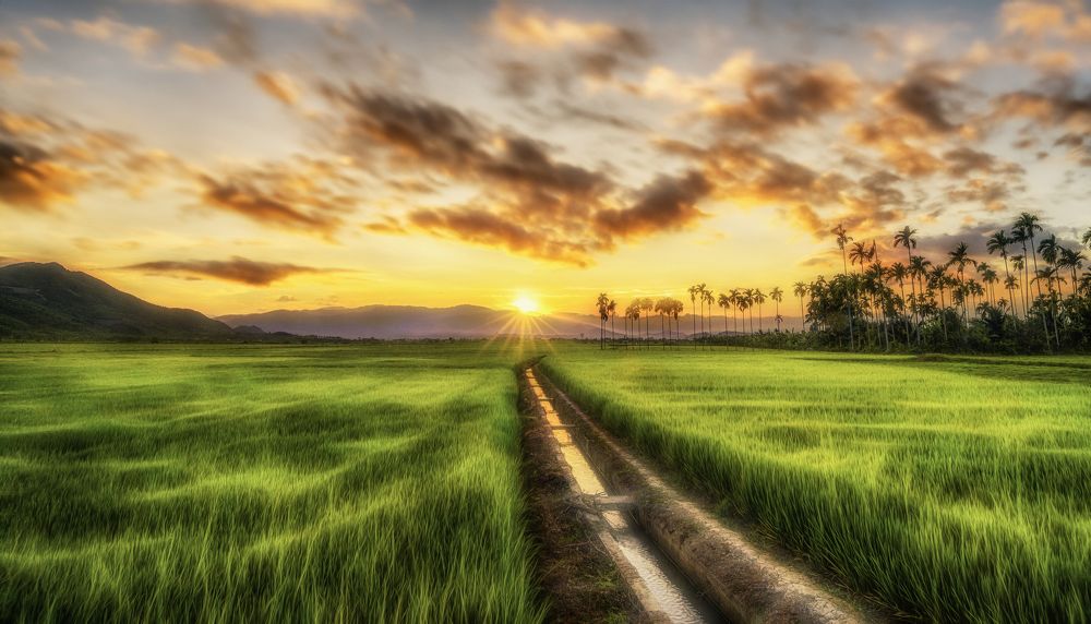 Photograph by Tran Khoa