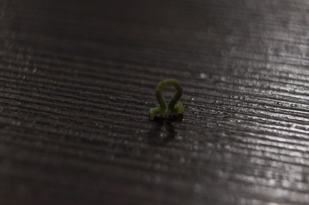 Photograph by Владислав Капанов