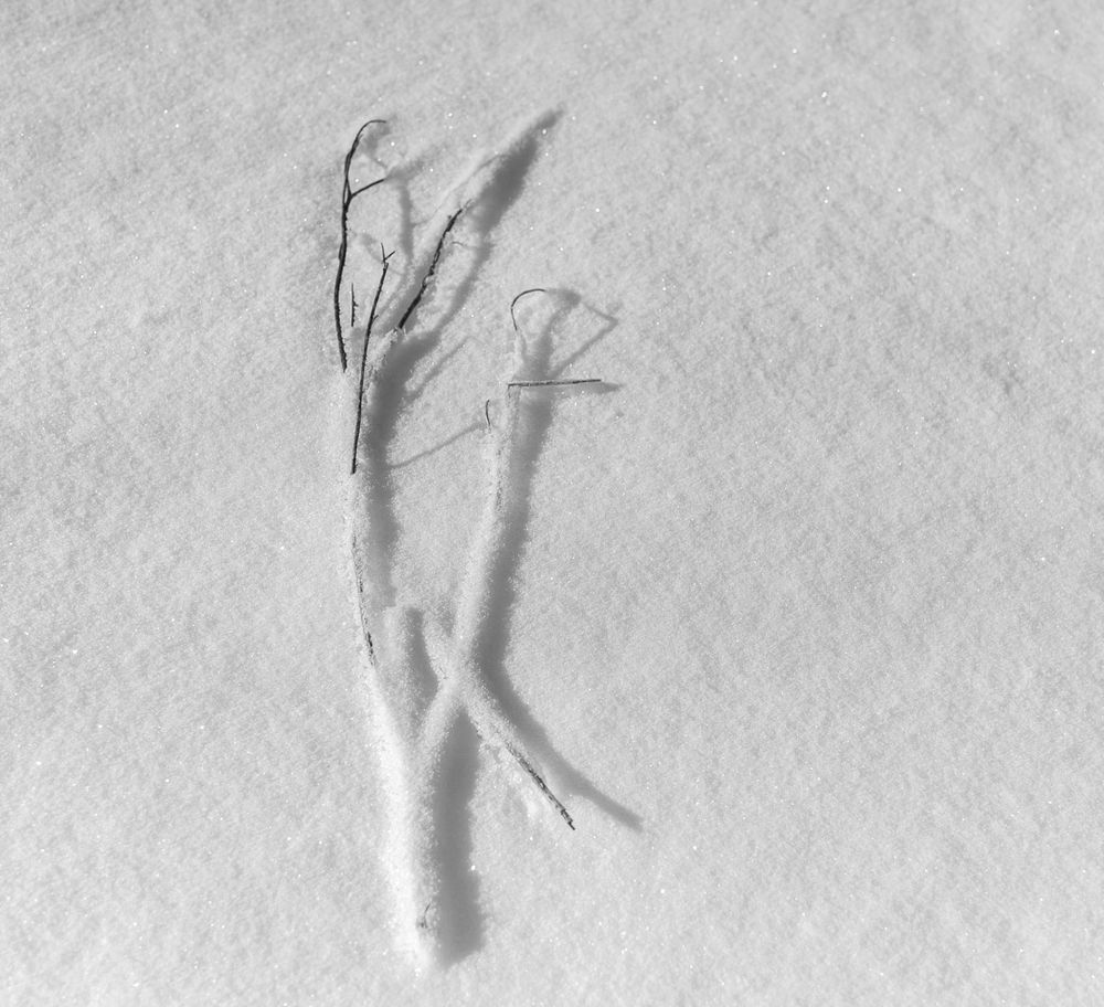 Photograph by Ирина Яук