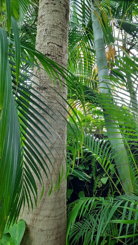 Фотография автора Anabela Maria Lima Silva