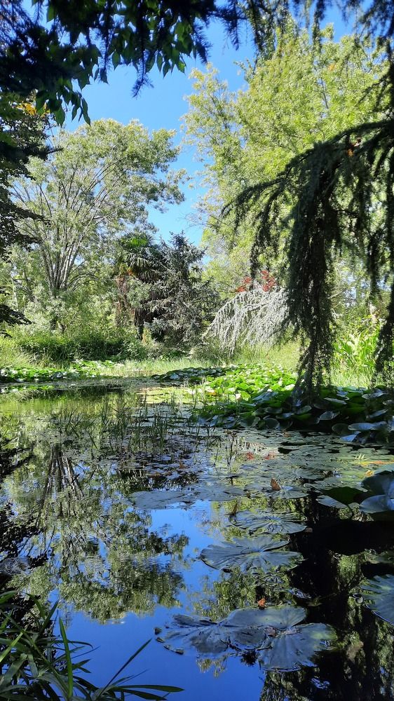 Фотография автора Anabela Maria Lima Silva
