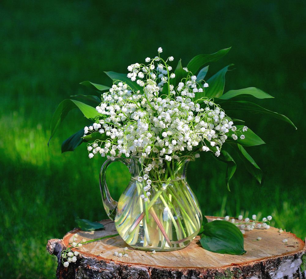 Светлого мая привет