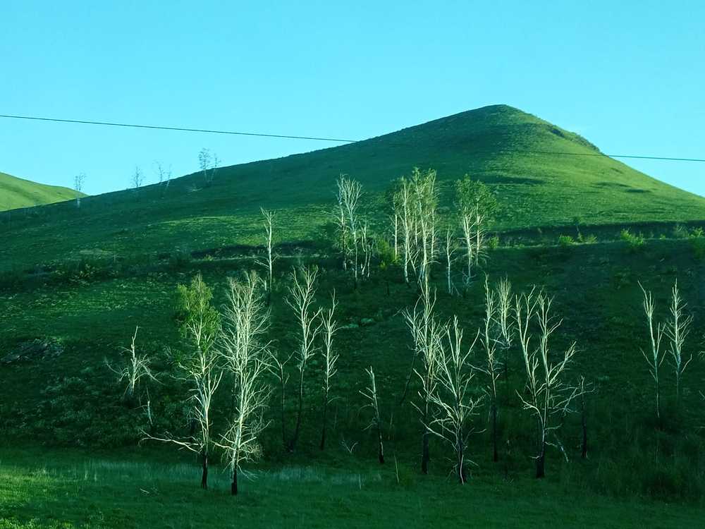 Фотография автора Гольназ