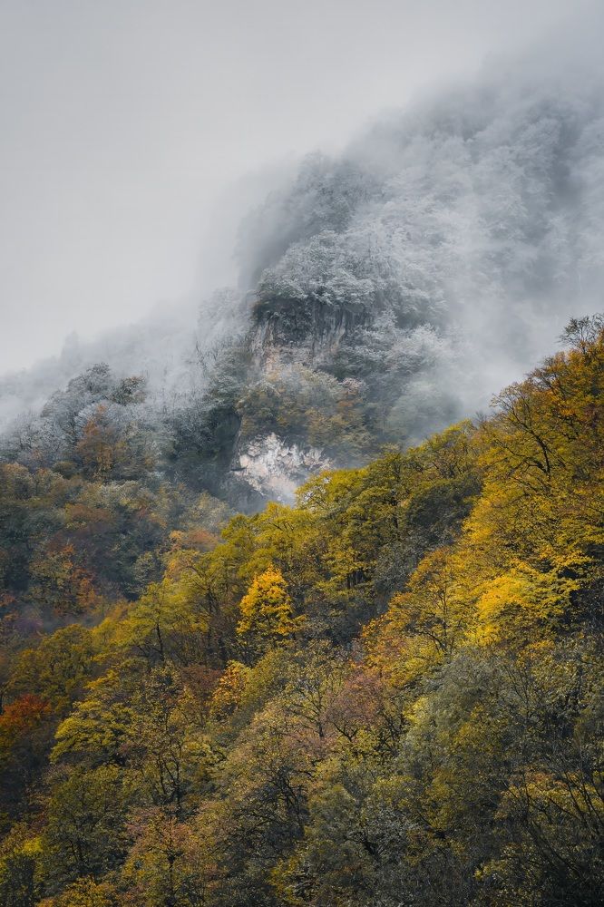 Photograph by Ilya Marchenko