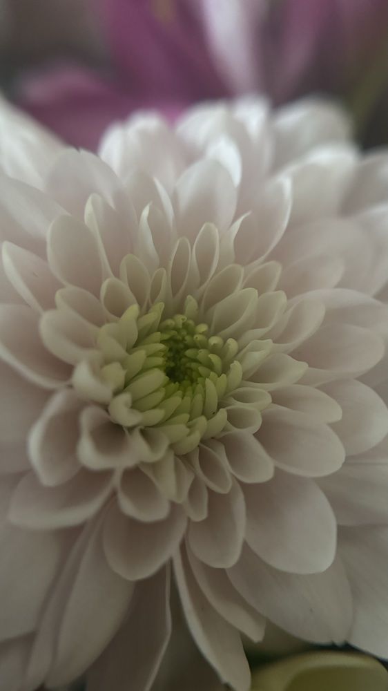 Photograph by Светлана Родионова