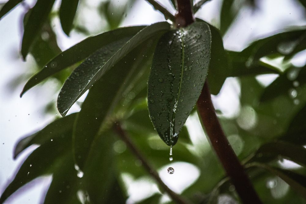 Photograph by Ксения Супрун