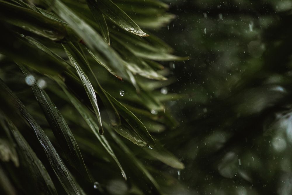 Photograph by Ксения Супрун