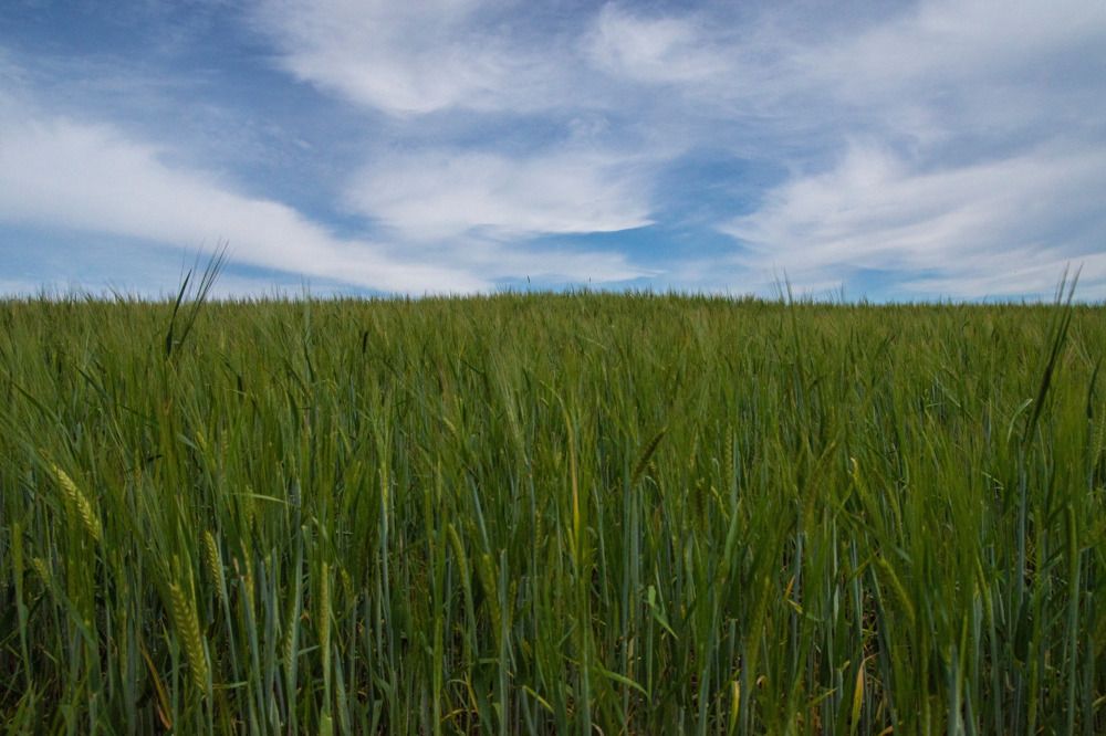 Photograph by Анна Васильева