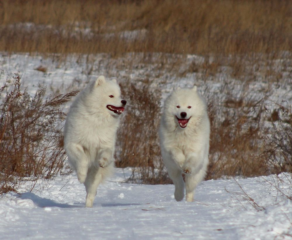 Photograph by Светлана