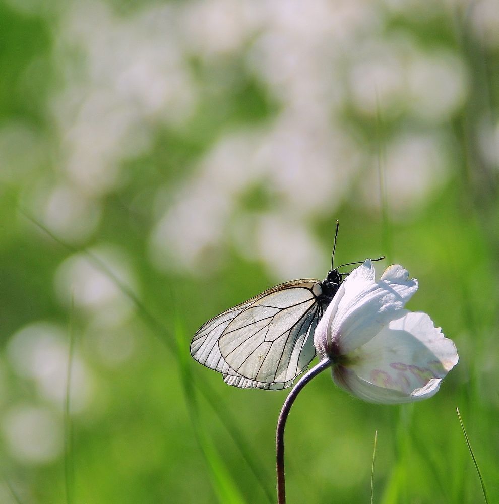 Photograph by Светлана