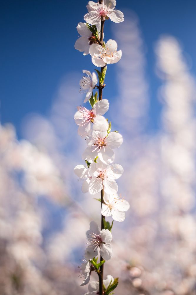 Photograph by Филипп Бабенко