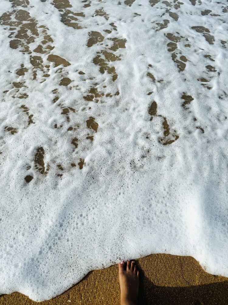 Photograph by Naveena Wimalarathne