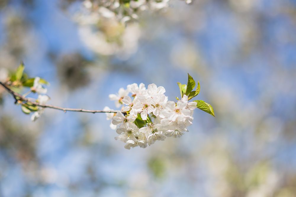 Photograph by Филипп Бабенко