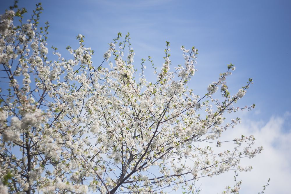 Photograph by Филипп Бабенко