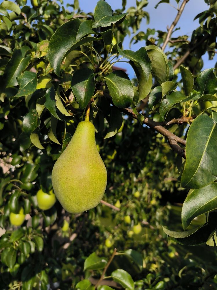 Фотография автора Михаил Бурминский