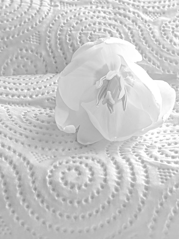 Photograph by Елена Сиушова